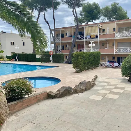 Apartment Treumal Center *