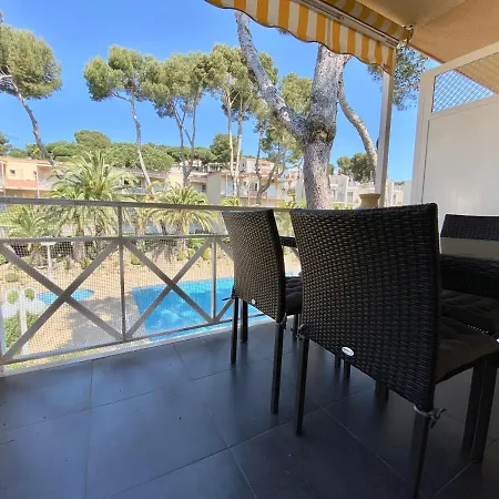 Apartment Treumal Center